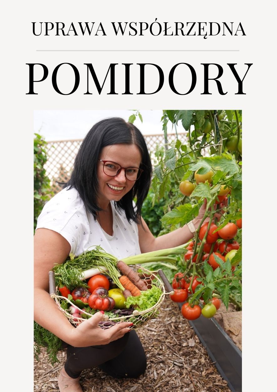 Pomidory - Uprawa współrzędna - E-Book