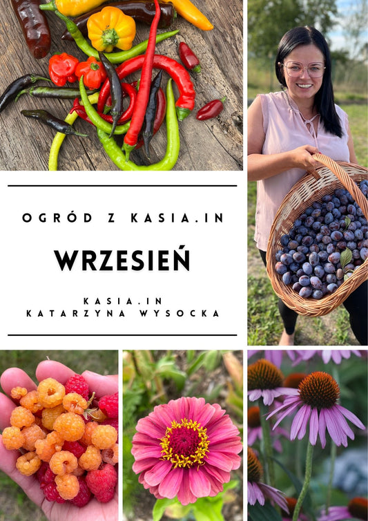 Ogród z Kasia.in - Wrzesień - E-Book