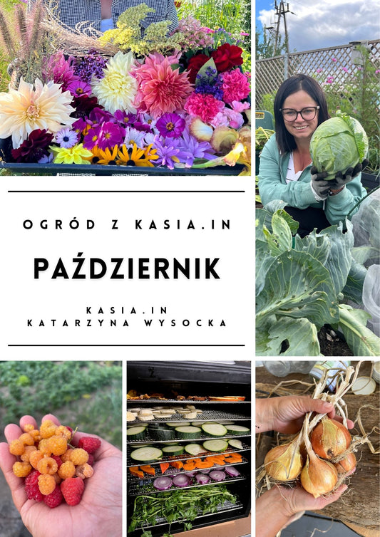 Ogród z Kasia.in - Październik - E-Book