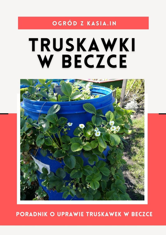 Truskawki w beczce - E-Book
